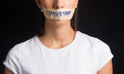 1 in 4 Irish fear losing right to free speech: poll