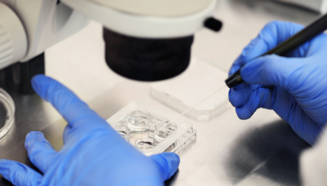 IVF and infertility: Good ends do not justify all means