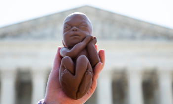 #WeCount claim that abortions increased despite restrictions is ‘misleading,’ expert says